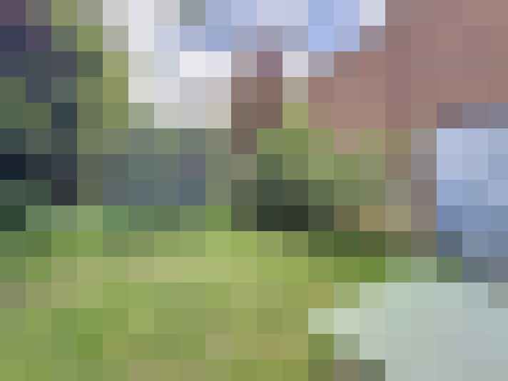  / #16