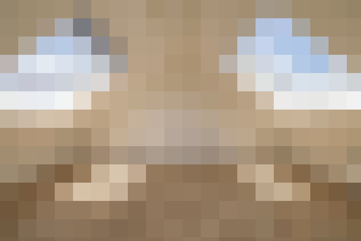  / #17