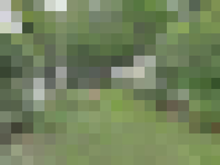 / #14