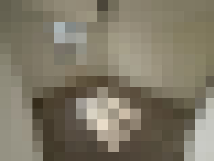  / #6