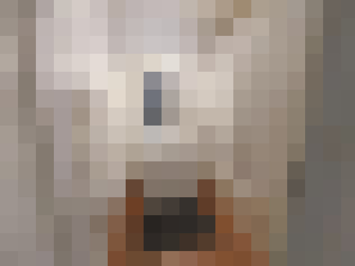  / #8