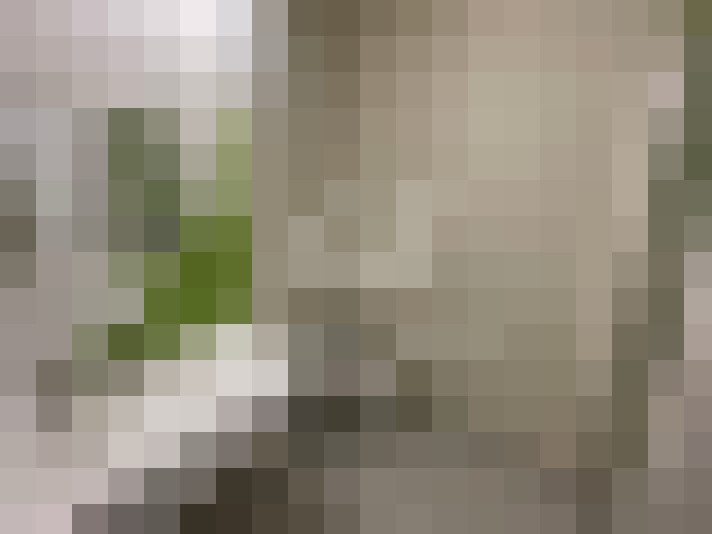  / #17