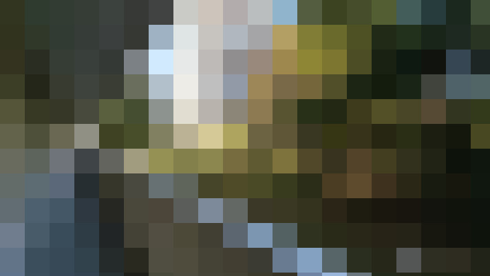  / #14