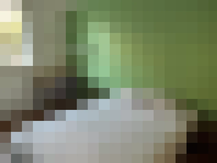  / #7