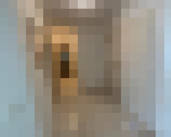  / #11