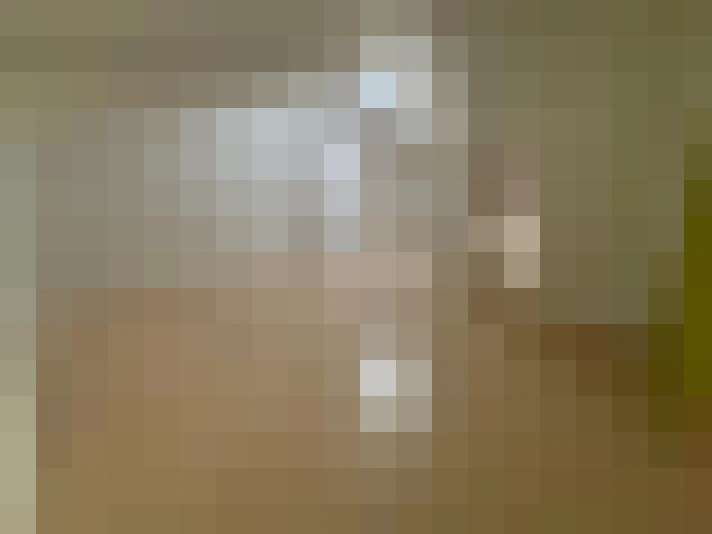  / #15
