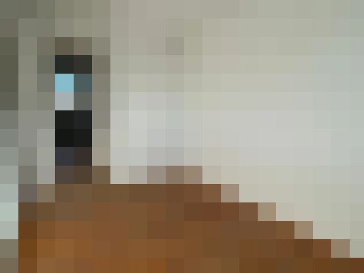  / #3