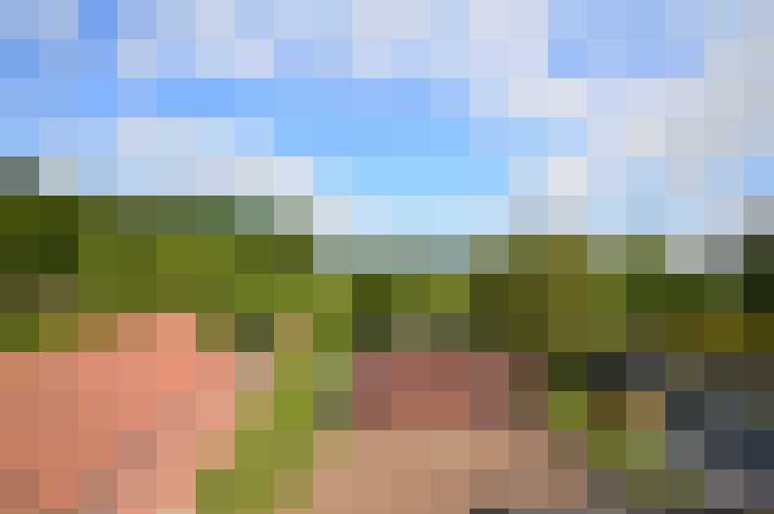  / #16