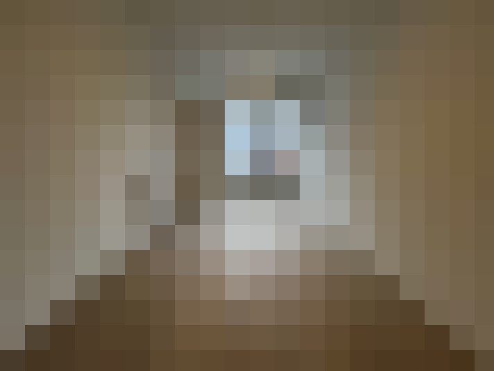  / #11