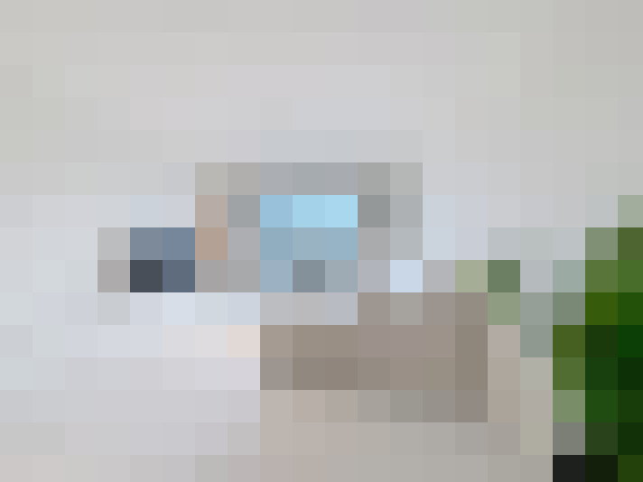  / #11