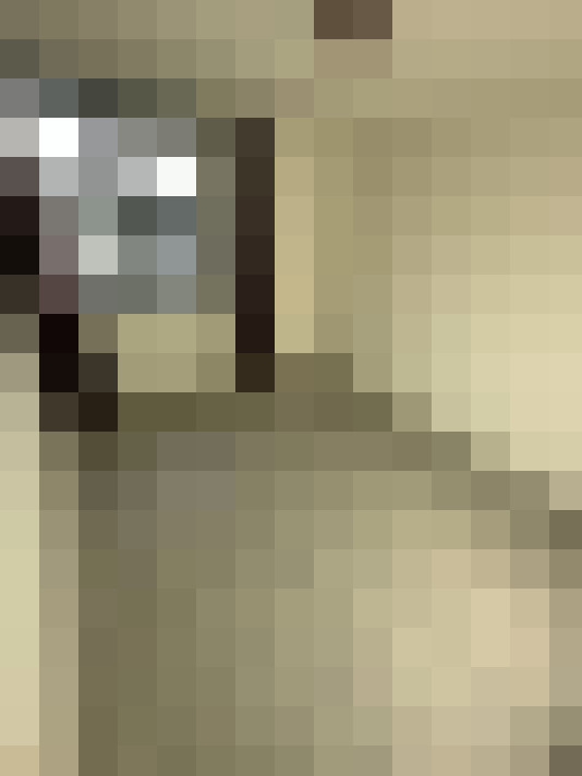  / #12