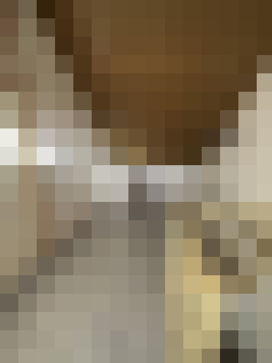  / #17