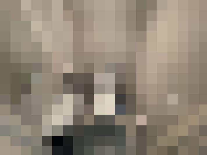  / #21
