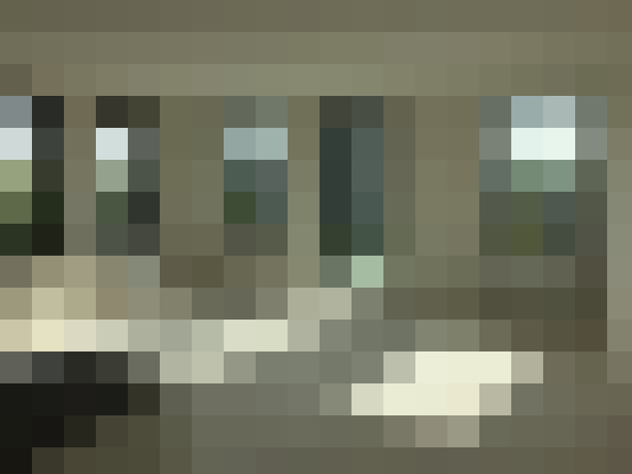  / #7