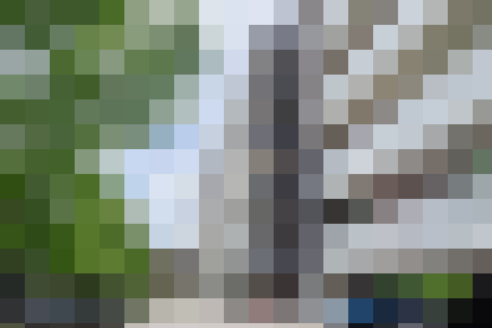  / #19