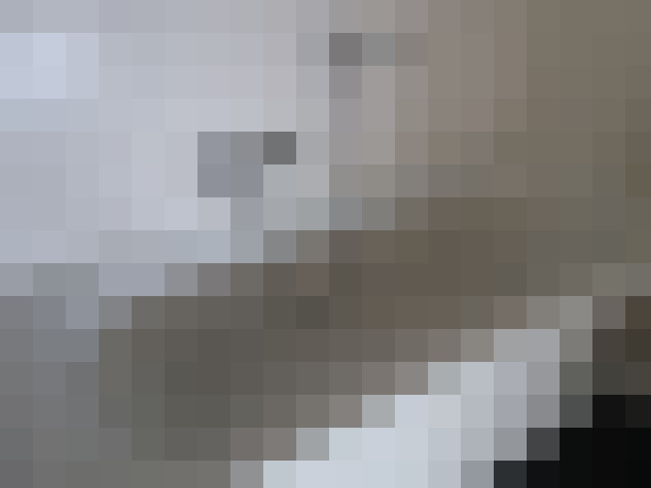  / #19
