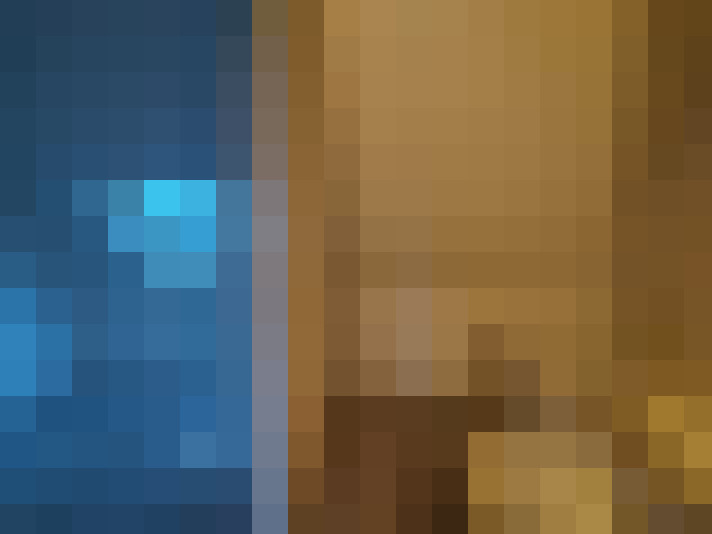  / #11