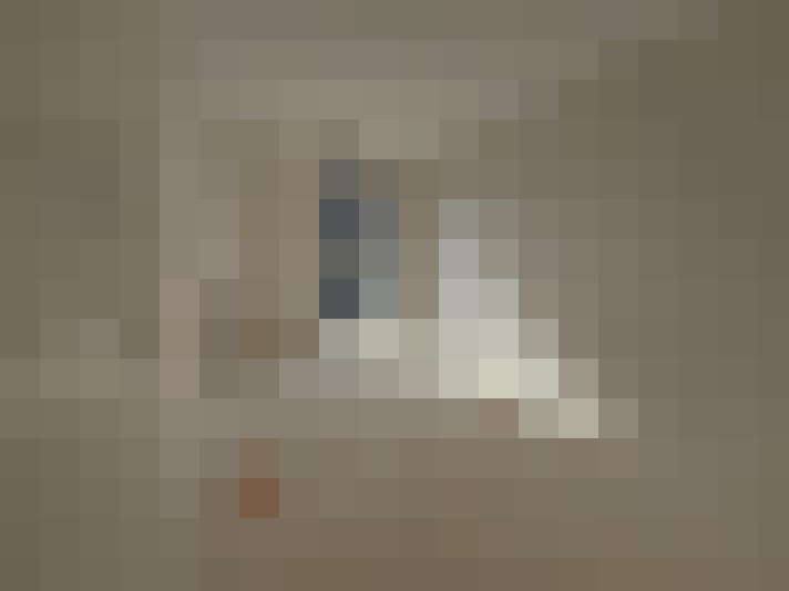  / #11