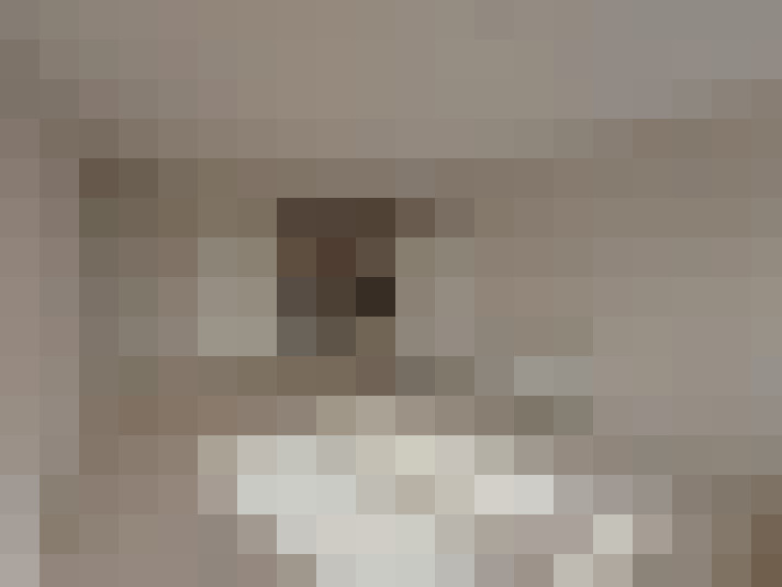  / #17