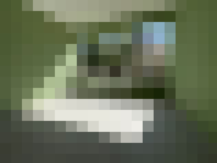  / #9