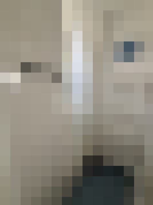  / #8