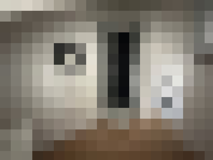  / #5