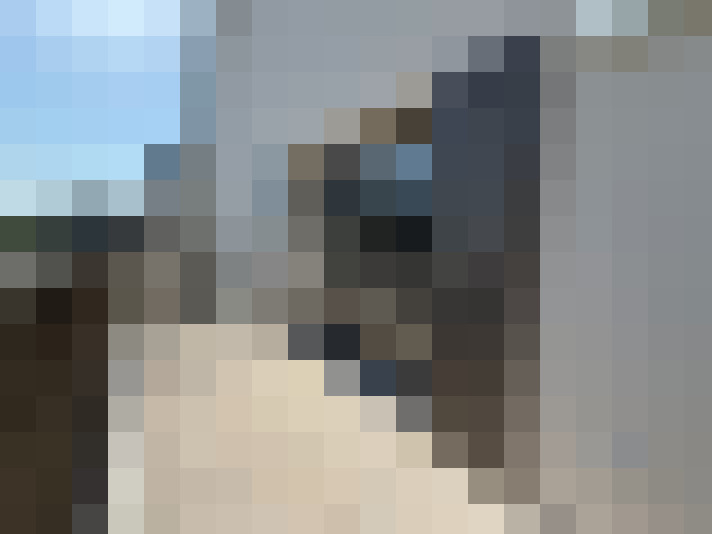  / #7