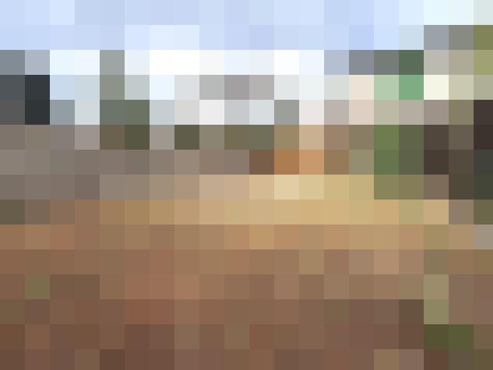  / #16