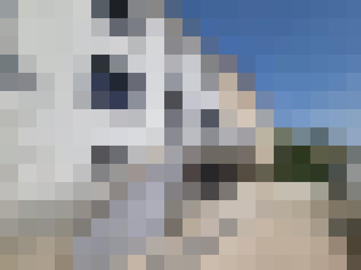  / #14