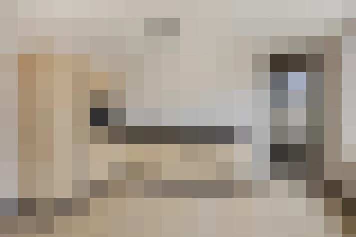  / #17
