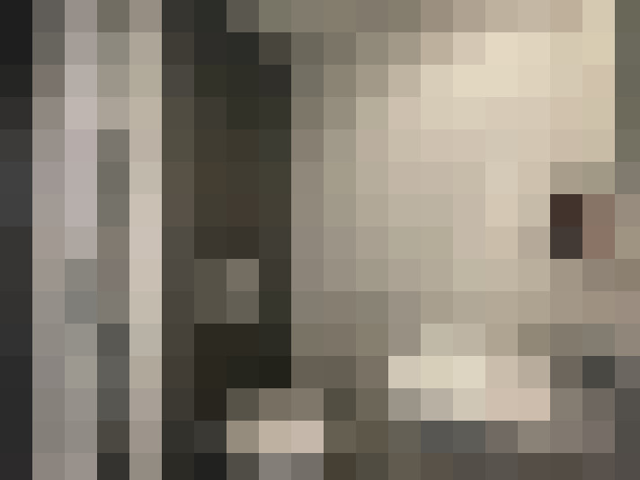 / #8