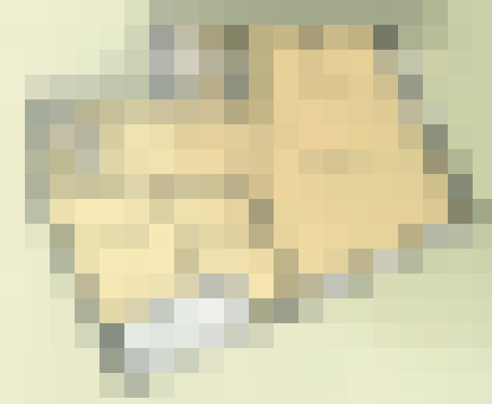 / #13