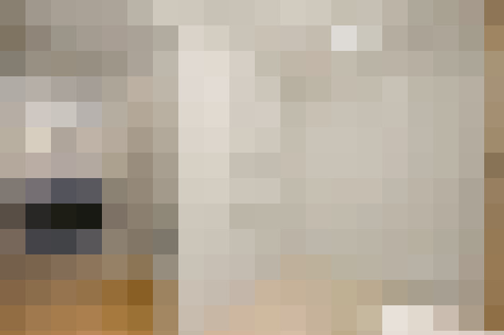  / #21
