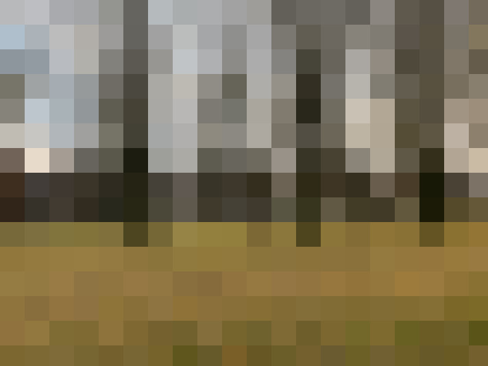  / #16