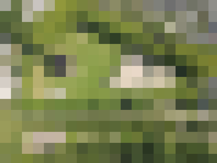  / #17