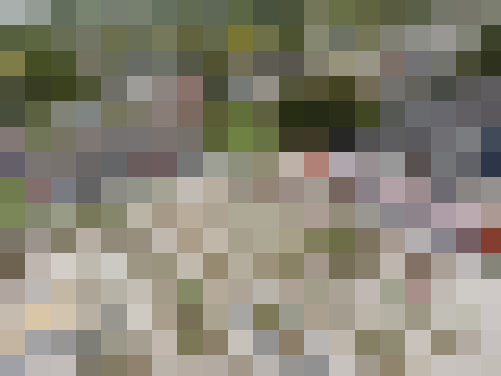  / #17