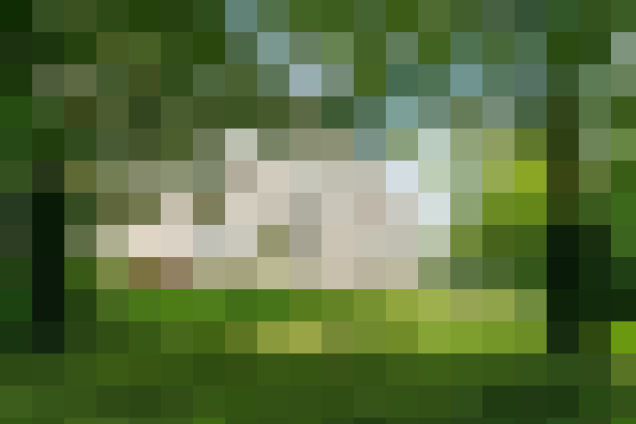  / #12