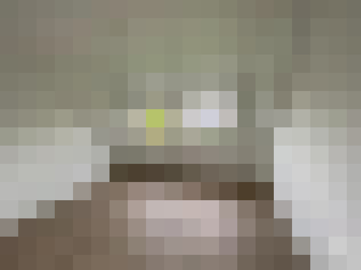  / #6