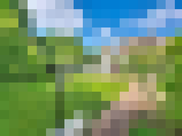  / #17