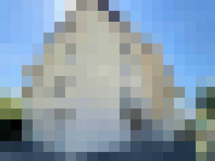  / #7