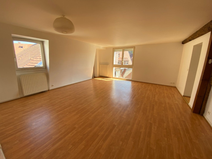 Voir la photo 1/9 du type apartment à Colmar