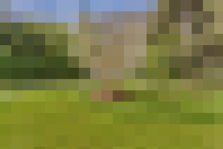  / #16