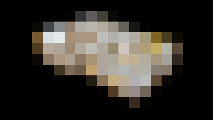  / #15
