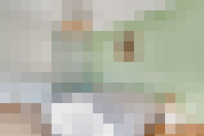  / #11