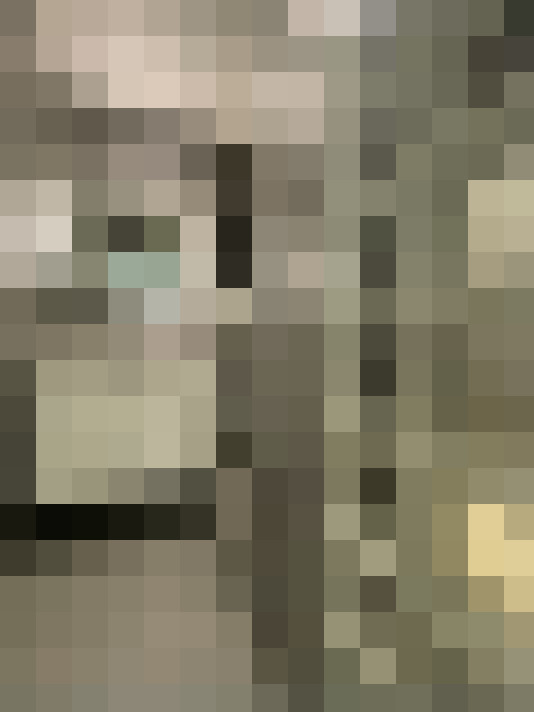  / #16