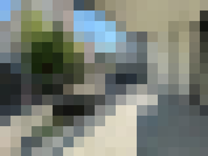  / #7