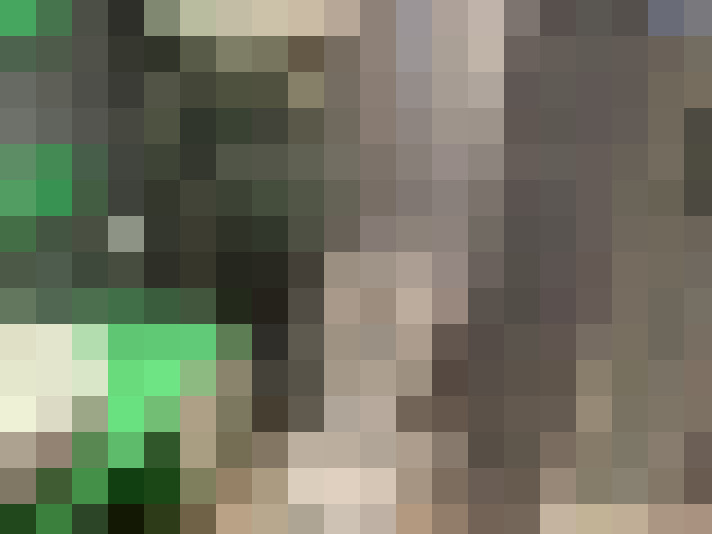  / #6