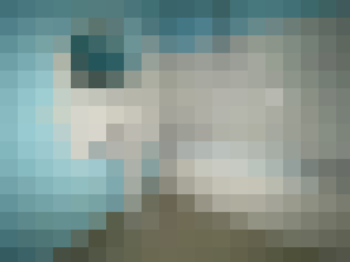  / #7