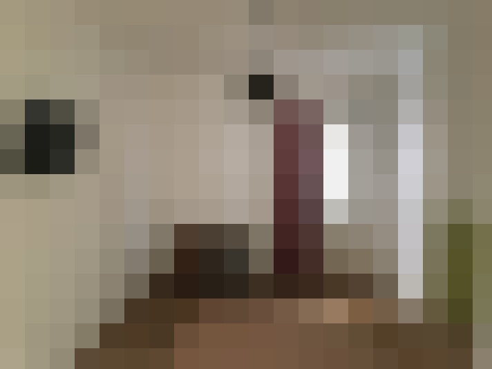  / #7