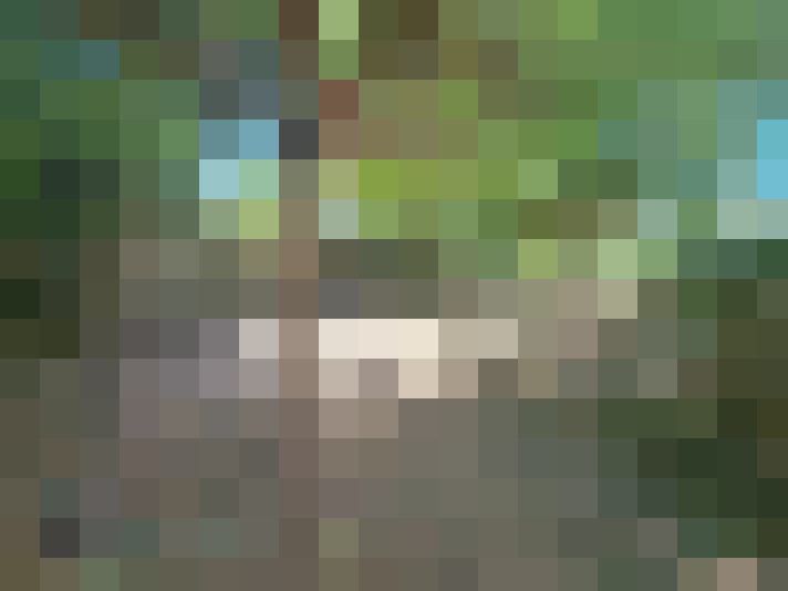  / #11